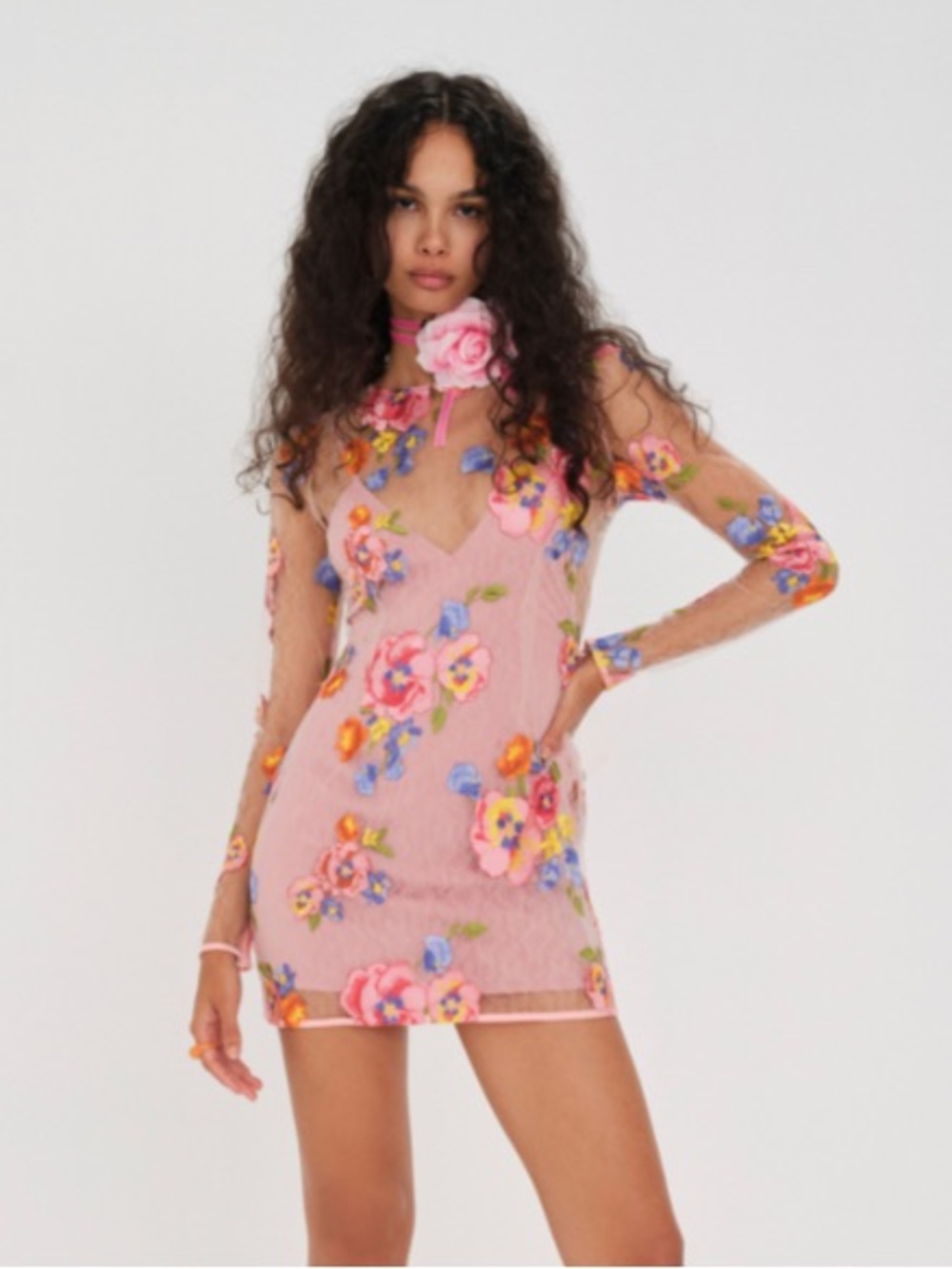 For Love & Lemons Percy Embroidered Mesh Mini Dress - Picture 4 of 4